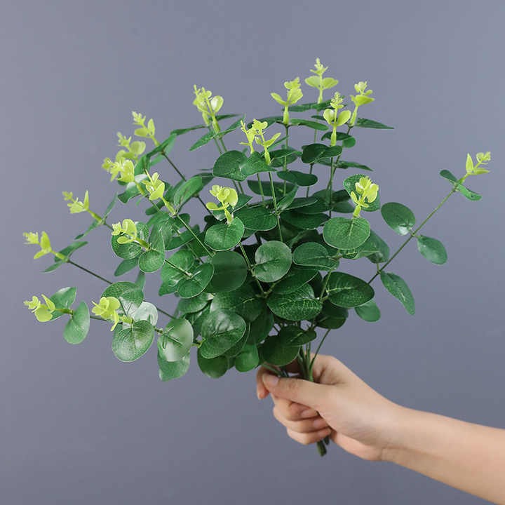 بوته ای اکالیپتوس 16 بازو کد N01