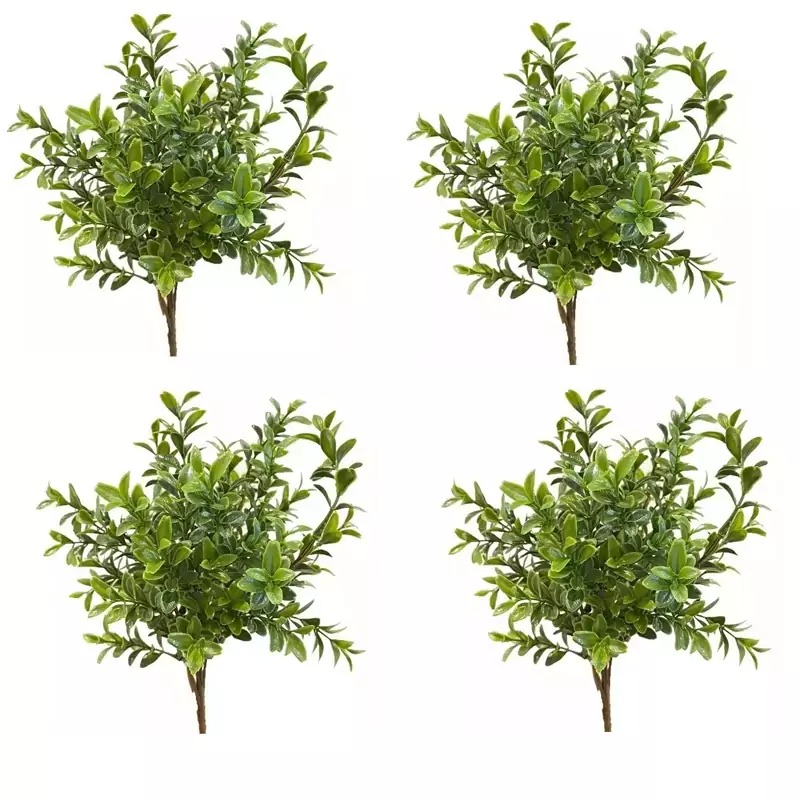 بوته اناری سبز بسته 4 عددی