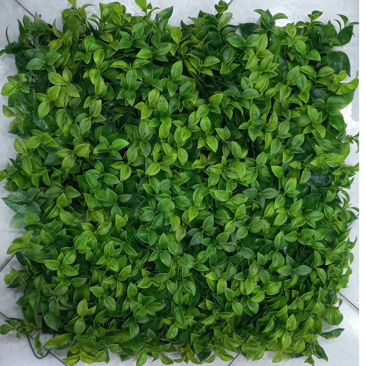 گرین وال ریحون50*50 پسکرایه