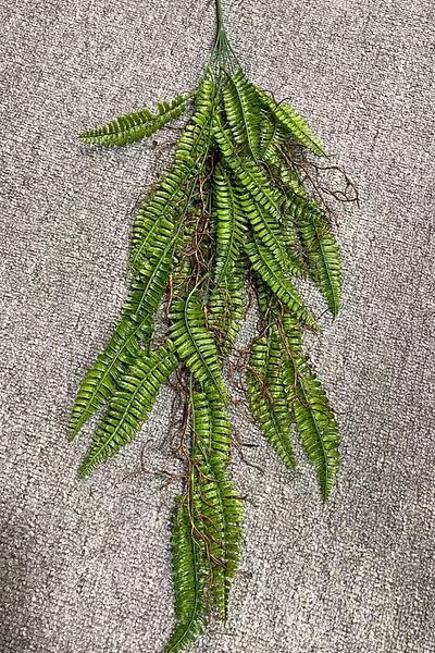 گل مصنوعی مدل آویز سرخس واداتی ریشه دار