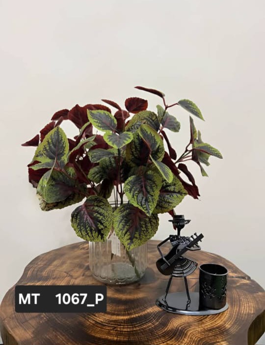 حسن یوسف کد MT1067