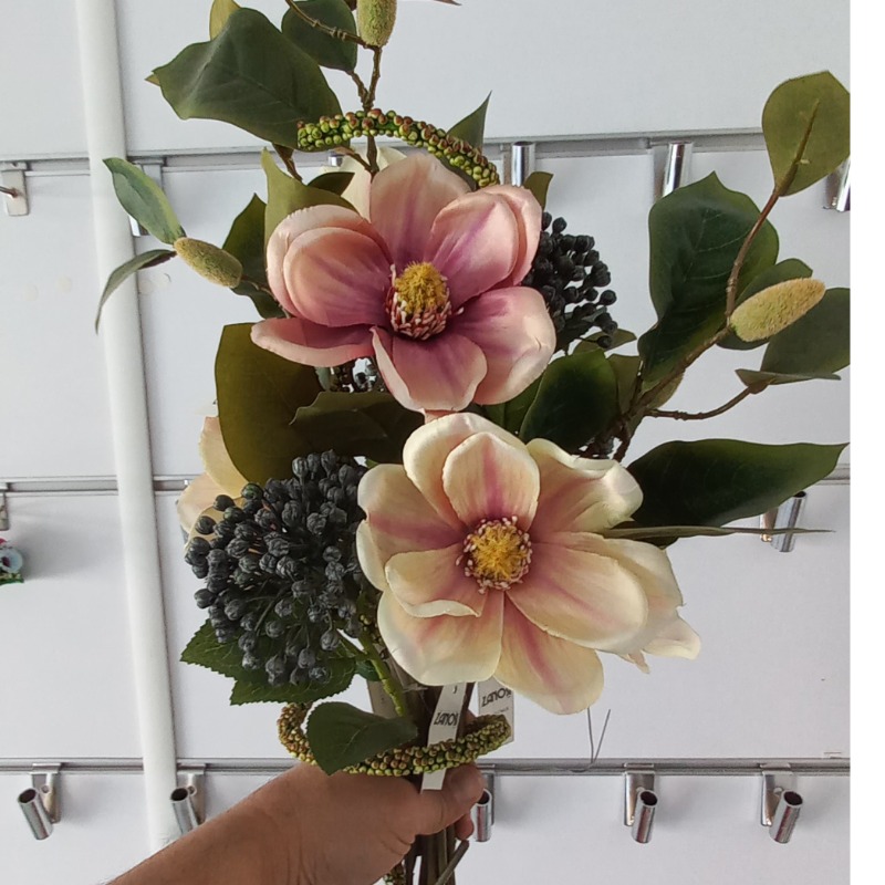 جراحی میکس مگلونیا غوره