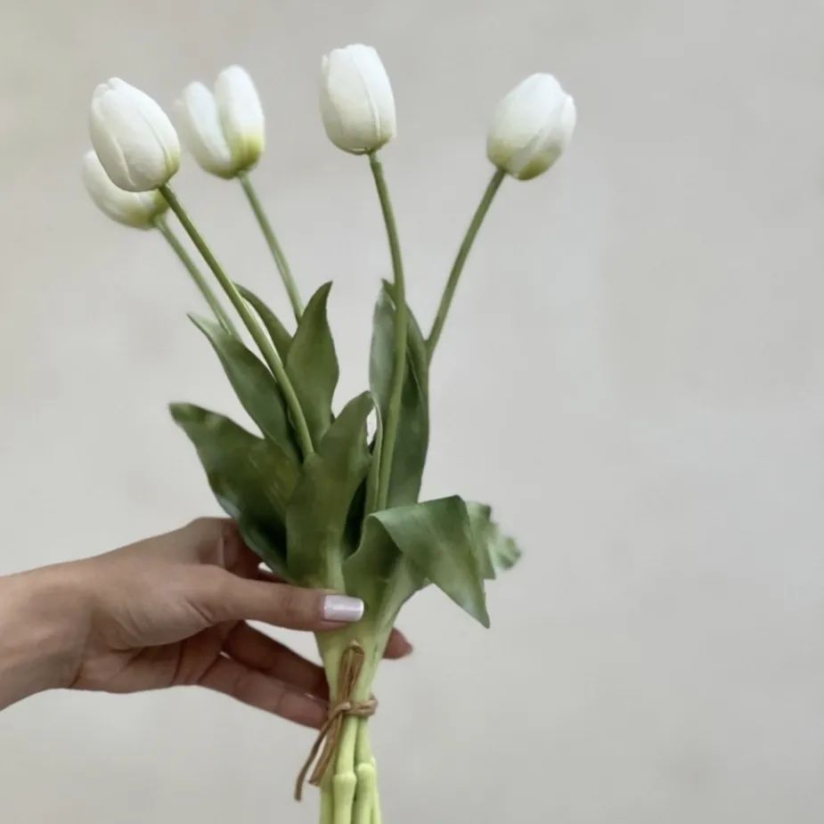 لاله لاتکس یکدست سفید ۵ گل درشت